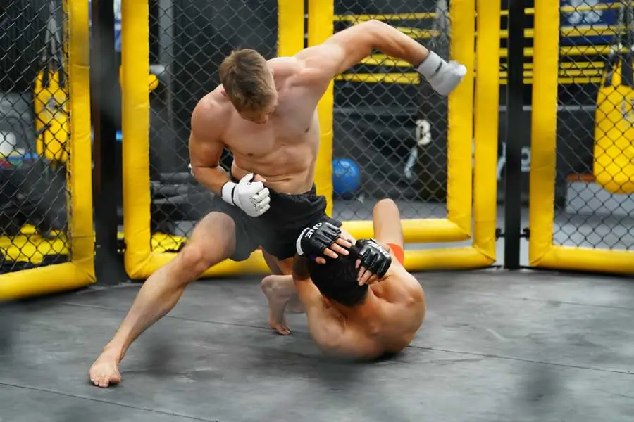 Mixed martial artists competing