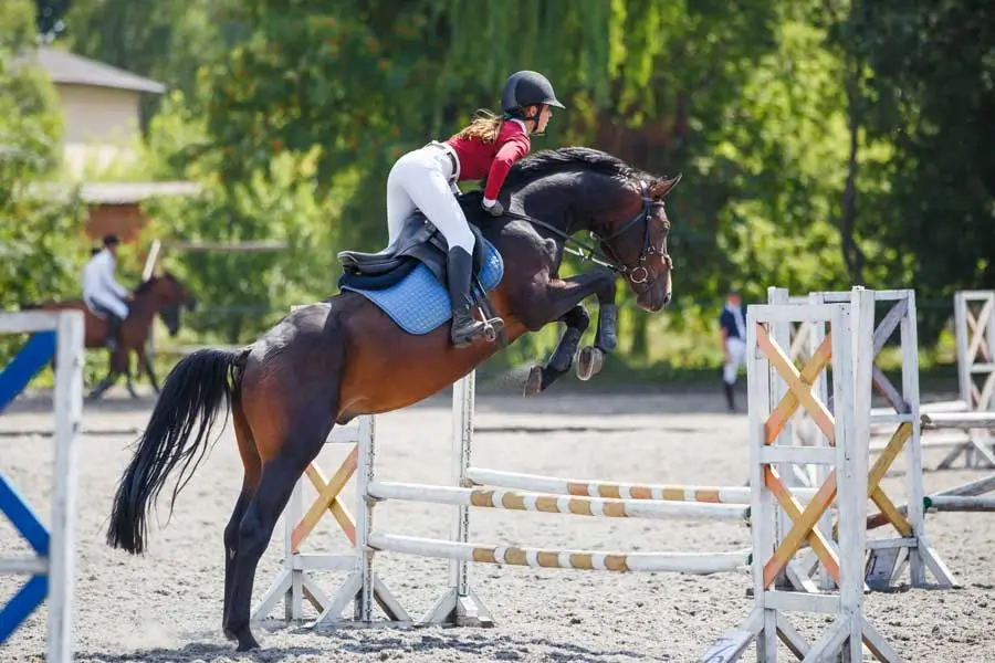 Rider and horse jumping a hurdle