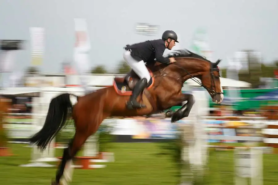 Equestrian rider with a horse