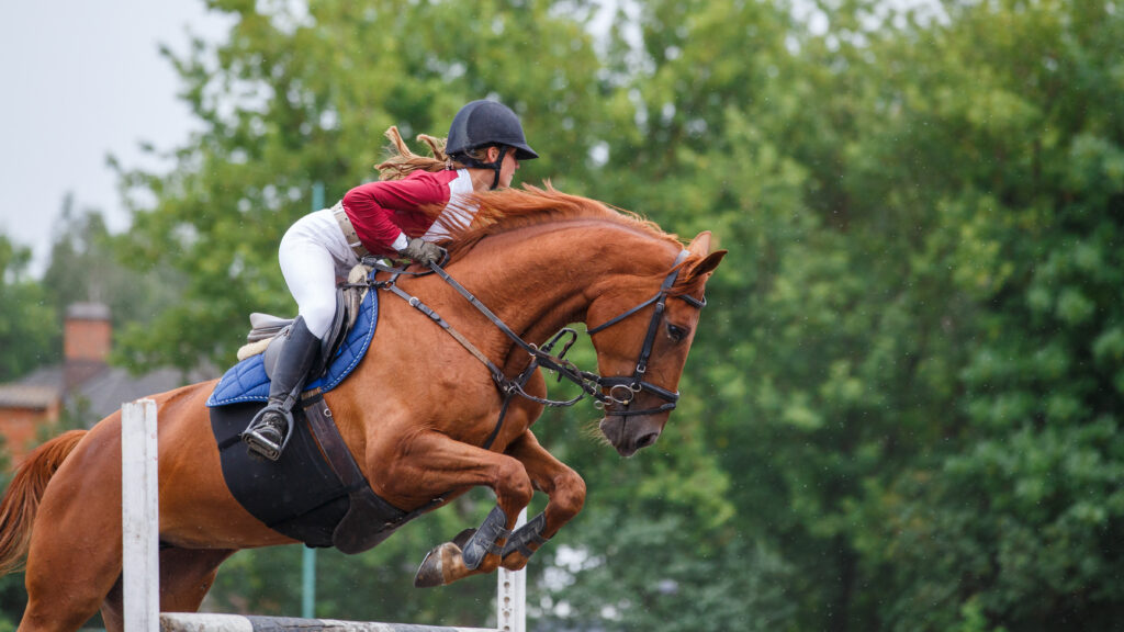 Equestrian athlete jumping a hurdle
